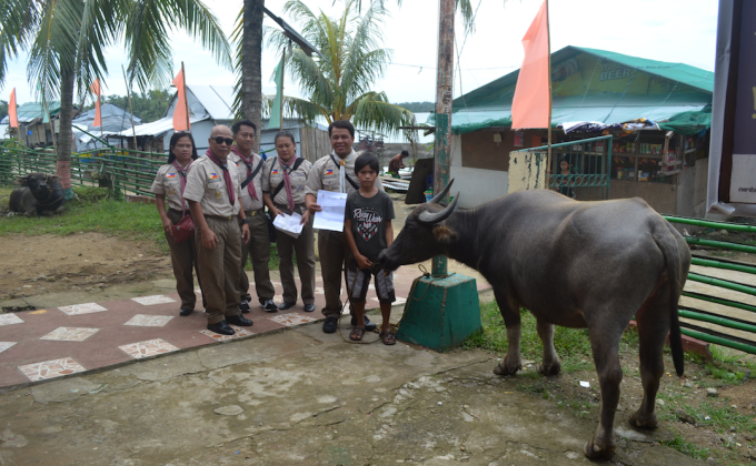 Provide water buffaloes (carabao) and basic agricultural needs for three Scout families